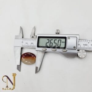 صورة مصغرة للمنتج