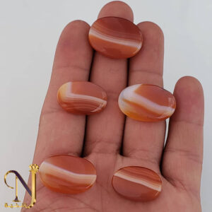 صورة مصغرة للمنتج