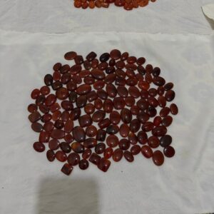 صورة مصغرة للمنتج