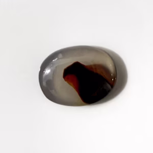 صورة مصغرة للمنتج